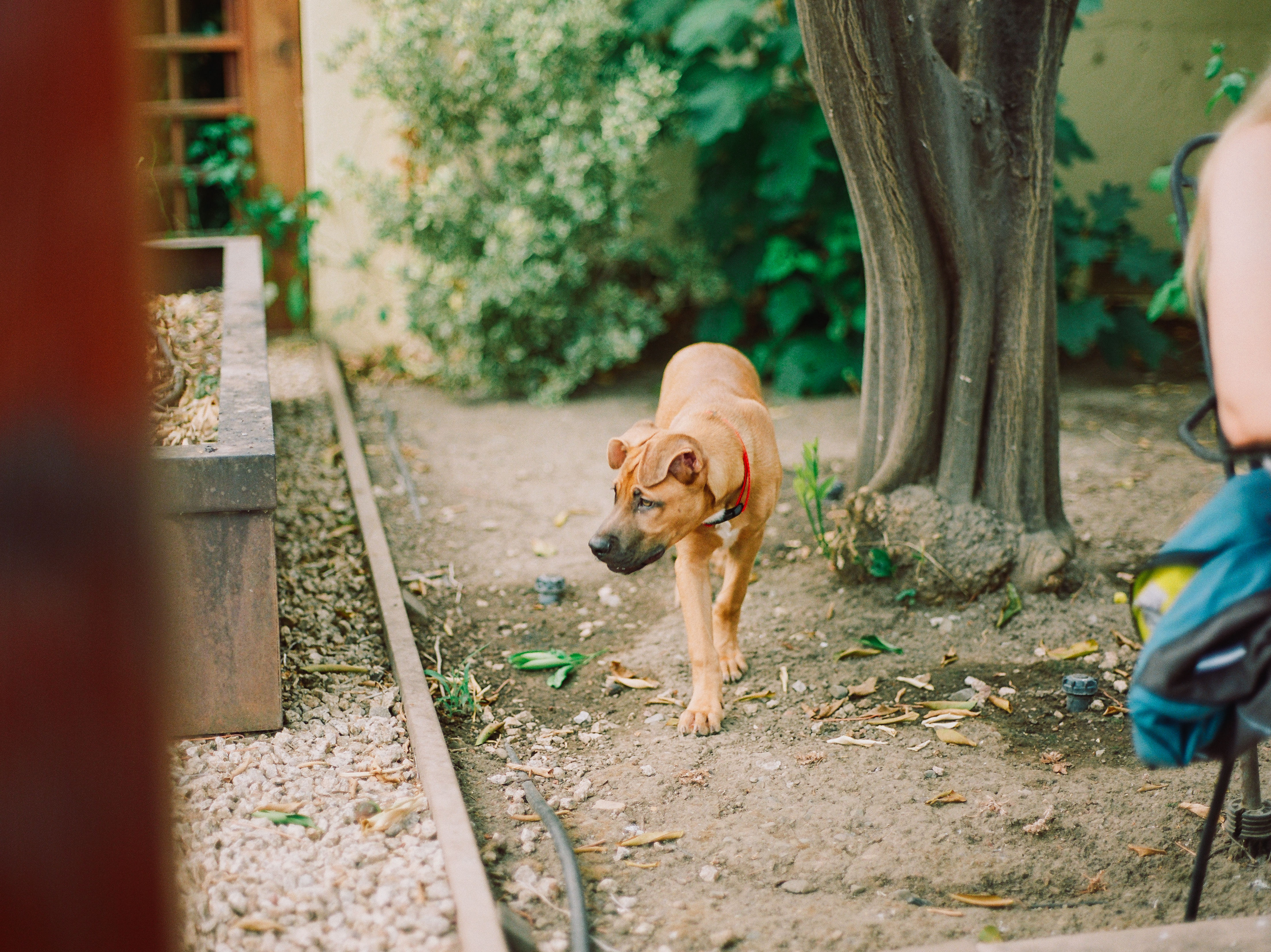 Selected photograph 6